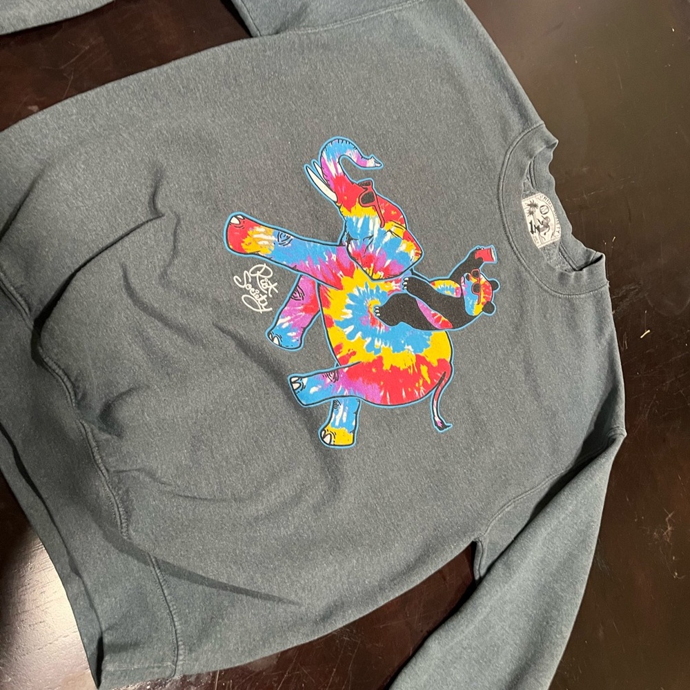 Riot Society Gray Sweatshirt with Graphic Design